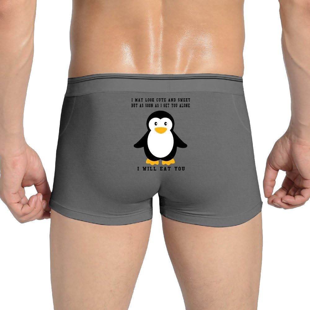 Muscheman Men's Boxer Brief Underwear Cute Penguin I May Look Cute and Sweet