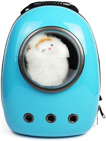 kitten carrier backpack