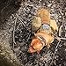 OUTRY Tactical Dog Vest Harness - MOLLE System with PALS Webbing
