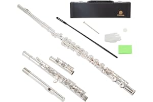 AUROSUS 16 17 keys offset g e key colour c flute open closed hole sky blue handcut embouchure hole nickel plated sliver trans