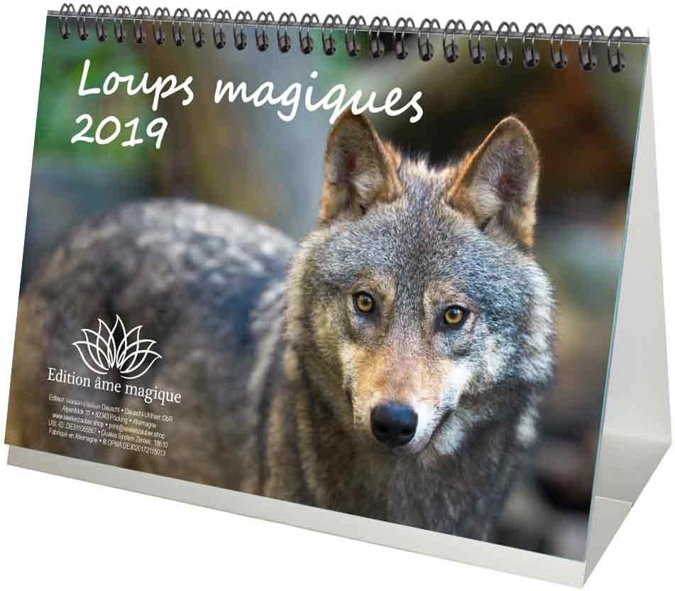 Magical Wolf Desk Calendar 2019 21.0 cm x 16.3 cm Wolf Wolf Forest Nature Animal Wildlife Magical Core Edition