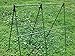 G-LEAF 4Ft Tomato Garden Stakes Cage Plastic Coated Steel Tube Plant Sticks for Tomato,Cucumber,Bean,Tree,Pack of 25