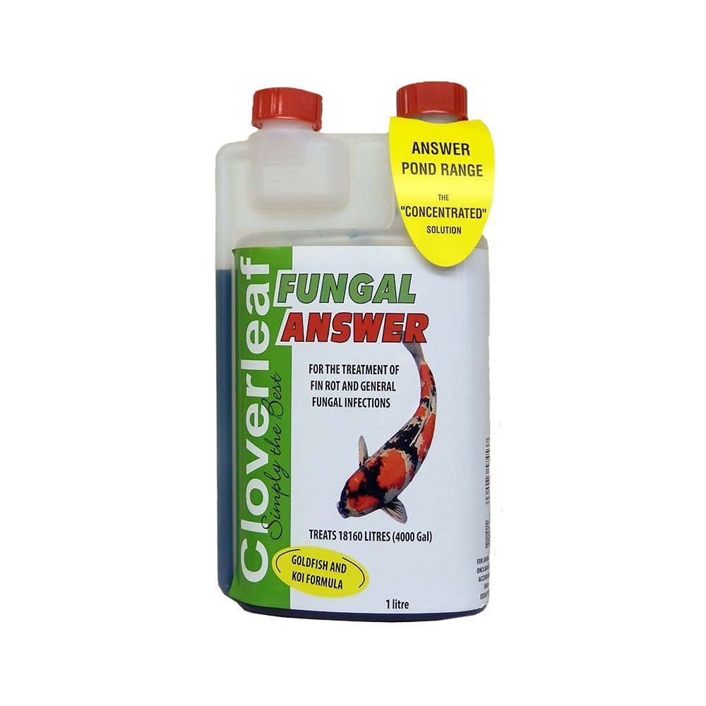 CLOVERLEAF FA1LTR/4 Fungal Answer, 1 Litres, Clear, 26x6x14 cm