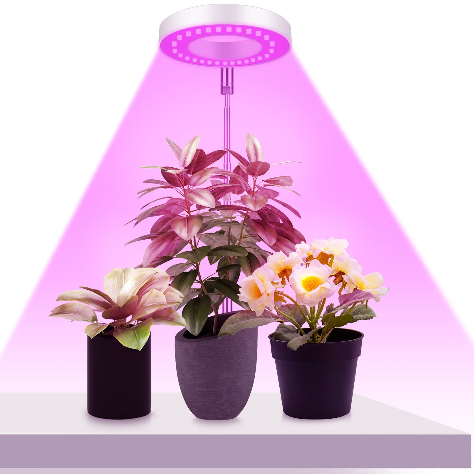 Ainiv Plant Grow Light, 48 LEDs Full Spectrum LED Plant Light for Indoor Plants, Height Adjustable, Auto On/Off Timer 3/9/12H Growing Lamp with 9 Dimmable Brightness, Ideal for Small Plants-Purple