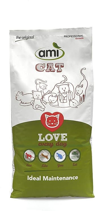 tiffany silver dog tag