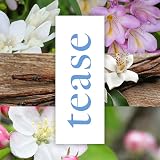 Impulse Tease Body Spray Deodorant 150 ml - Fresh Fragrance view 3