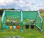 Quictent Updated Super Large Zipper Doors Mini Greenhouse Portable Cloche Green House 71"WX 36"D X 36"H