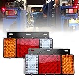 Boursin 12V 44 LEDs Tail Lights (Iron Plate) Fit