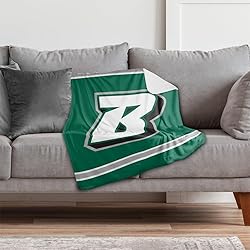 Binghamton University Bearcats Primary Logo Stripes