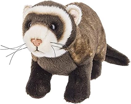 amazon ferret toys