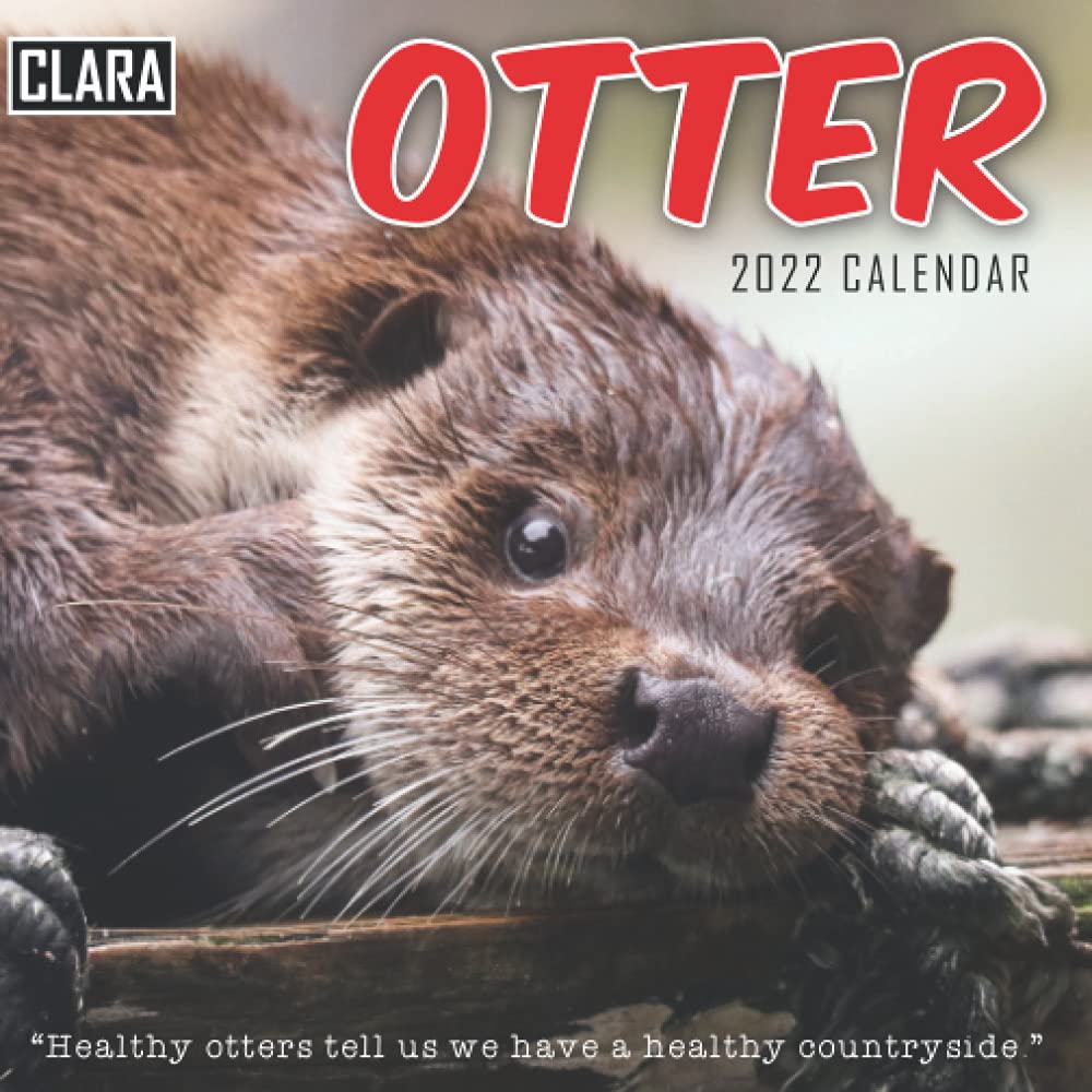 Otter 2022 Calendar: Special Gifts For All Ages And Genders With 18-Month Mini Calendar 2022: Love Bug, Honey Buns: 9798502999601: Amazon.com: Books