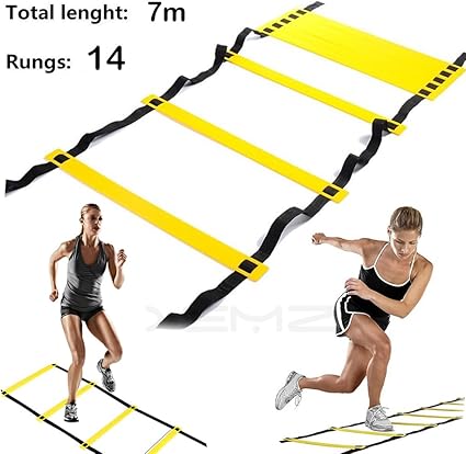 workout ladder target