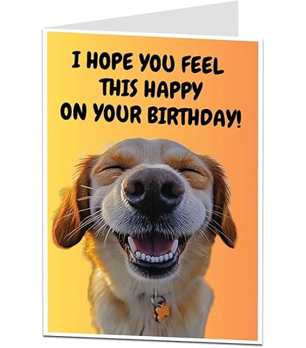 Lot De 2 Adaptateurs Hydrauliques Jagwire Pro Quick-Fit – Compatible Freins SRAM/Avid – Noir