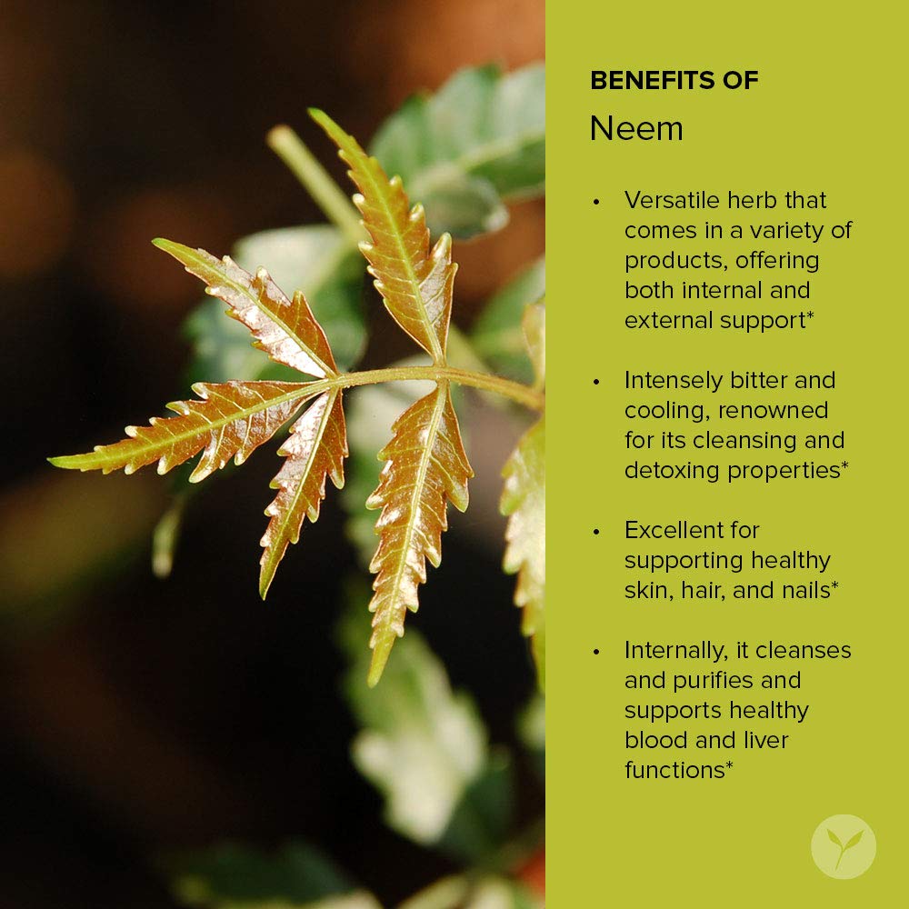 Banyan Botanicals Neem Tablets – Organic Neem Leaf (Azadirachta Indica) – Supports Natural Detoxification, Healthy Skin, and Immune Health* – 90 Tablets – Non-GMO Sustainably Sourced Vegan