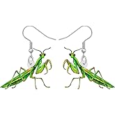 NEWEI Acrylic Insect Bug Earrings Dangle Praying Mantis Jewelry for Women Animal Lovers Funky Gifts (Praying Mantis A)