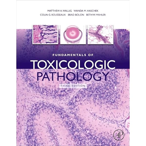 【中古】 Imaging for Otolaryngologists/THIEME MEDICAL PUBL INC/Erwin A. Dunnebier PDF] Imaging for Otolaryngologists by Erwin A. Dunnebier