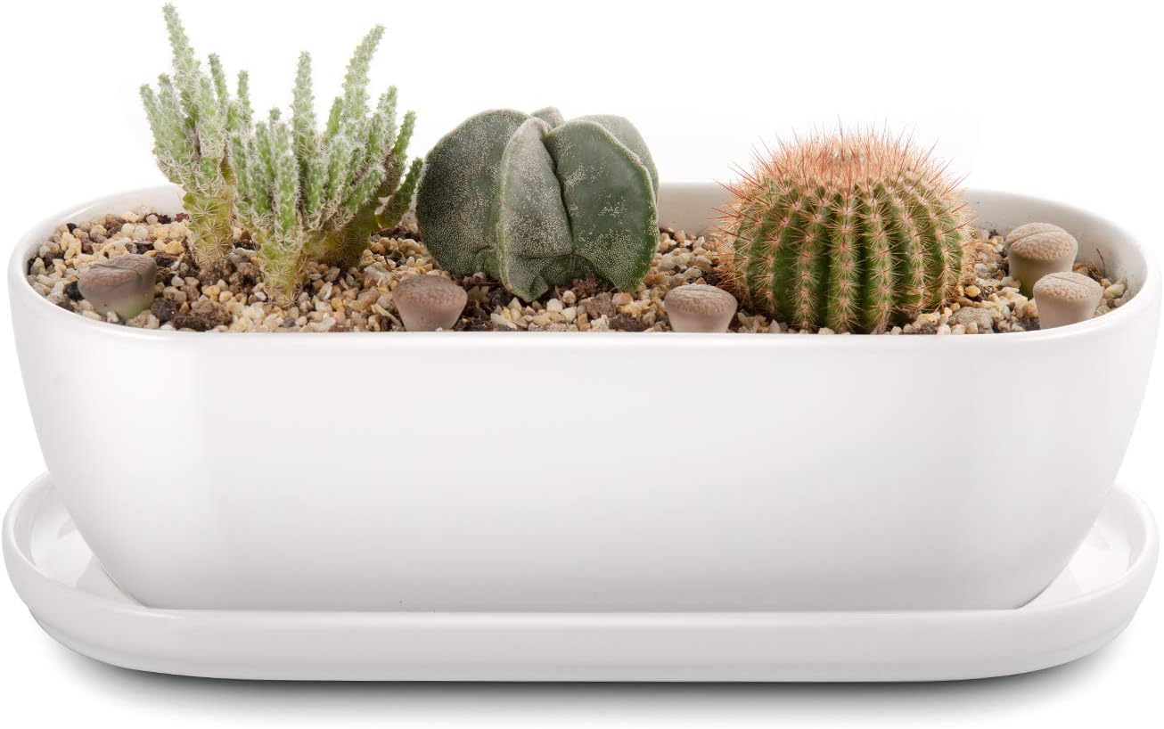 Oval Ceramic Planter Pot with Drainage Hole Saucers 11 Inch