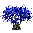 XIZHI 5 Stems Artificial Spider Lily Flowers 23.6 Inches Lycoris Bulbs Spider Lilies Artificial Flowers with Long Stem Real Touch for Photography Hotel Garden Decoration (Blue)