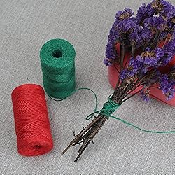 Tenn Well Colored Jute Twine, 328 Feet x 2 Rolls