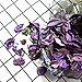 Qingbei Rina Purple Lavender Potpourri Bags,Fresh Perfume Sachet Home Fragrance Spring Dried Flower Petal with Essential Oil,5 Bags,9 oz