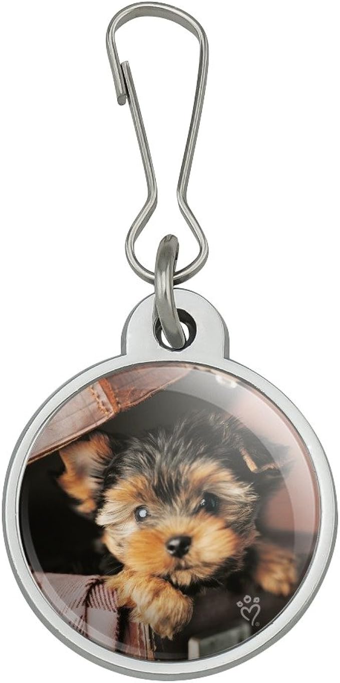 yorkie purse