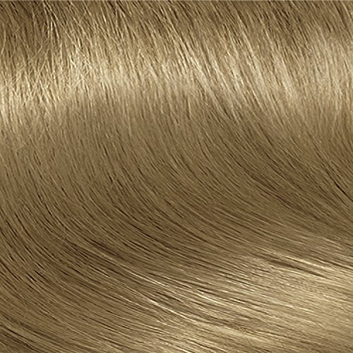 Clairol Nice N Easy Permanent Hair Color 8c Medium Cool Blonde