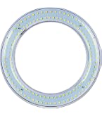8.5” Circline Replacement Bulb – FC8T9/KB 22W 3000K Fluorescent, G10Q-4 4-Pin Base For GE Fixtures