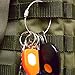 30pcs Colored Stainless Steel Wire Keychains 1.5mm 5.9 inches Aircraft Cable Key Ring Loops for Hanging Luggage Tags Or ID Tags Keepers