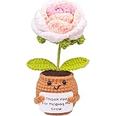 CoFuBcad Mini Positive Crochet Rose Doll Gifts, Handmade Emotional Support Knit Toys with Card, Mothers Day, Christmas, Valentine's Day, Birthday Present Idea - Knitted Desk Decor
