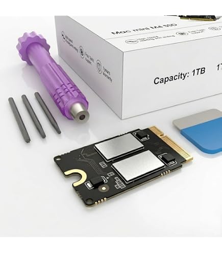 Amazon.com: SynthDisk Mini SSD 2T Compatible Memory SSD 4200MB/S