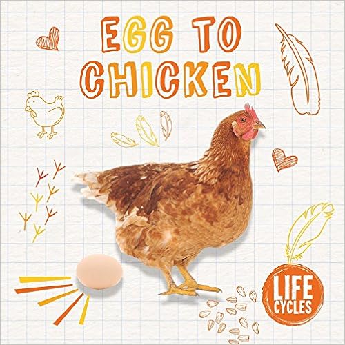 Egg to Chicken (Life Cycles)