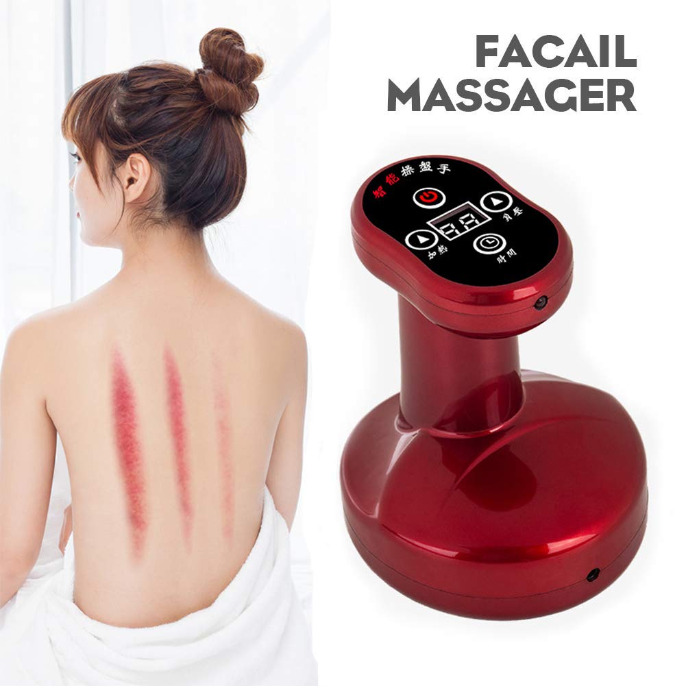 The 10 Best Pet Hair Vacuum Massager Handheld