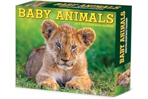 Baby Animals 2025 6.2" x 5.4" Box Calendar