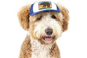 Nature Collection, PupLid Trucker Hats for Dogs (Small) Premium Stylish Sun Protection for The Modern Dog - Adjustable for Secure Comfortable Fit on Active Dogs (Blue, Bear)