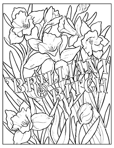 Fuck Off, I'm Coloring: Unwind with 50 Obnoxiously Fun Swear Word Coloring Pages (Funny Activity Book, Adult Coloring Books, Curse Words, Swear Humor, Profanity Activity, Funny Gift Book) - Thumbnail 3