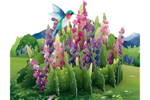 Lovepop Lupine Hummingbird Pop-Up Card - Hummingbird Pop-Up Greeting Cards - 3D Mother's Day, Birthday Card - 5" x 7" - Envelope Included