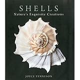 Shells: Nature's Exquisite Creations