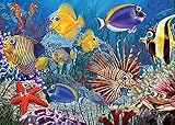 Do Fish Ever Sleep, A 35-Piece Tray Puzzle by Cobble Hill