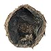 Faux Racoon Tail Hat - Coonskin Daniel Boone Hats for Adults Funny Party Hats …