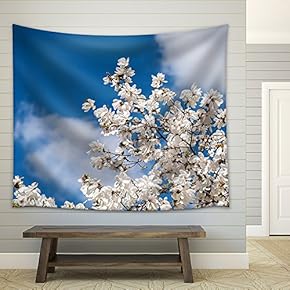 White Magnolia Flowers in Spring - Fabric Wall Tapestry Home Decor - 51x60 inches