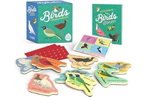 Birds: A Wooden Magnet Set