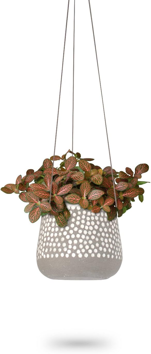 Hanging Planter for Indoor Plants, White Concrete Pots, Round Air Succulent Holder Container, Cactus Pot with Rope Hanger, 23 Bees (1, Shades of Nature (Tan))