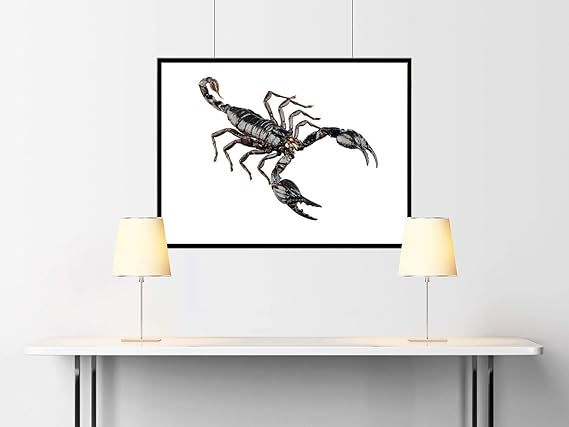 Hechizo eau de toilette 60 ml vaporizador: Amazon.es: Belleza