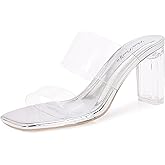 Shion ShaaYii Clear Heels for Women Transparent Two Strap Block Chunky Square Heel Sandals Open Toe Slip On Mules for Women