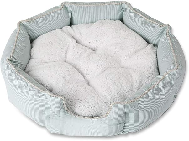 bañeras para perros amazon