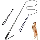 outward hound tail teaser dog flirt pole toy