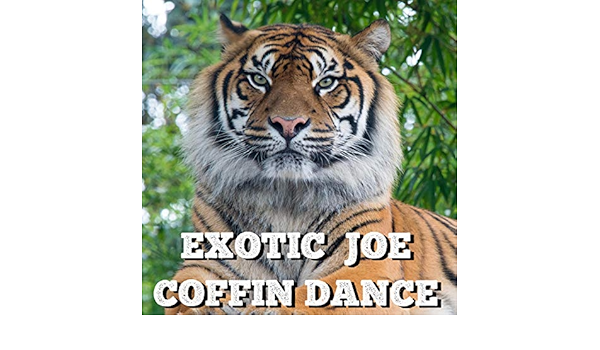 Coffin Dance By Exotic Joe On Amazon Music Amazon Com
