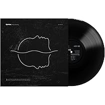 The Fear Of Fear (Vinyl): Spiritbox: Amazon.ca: Music