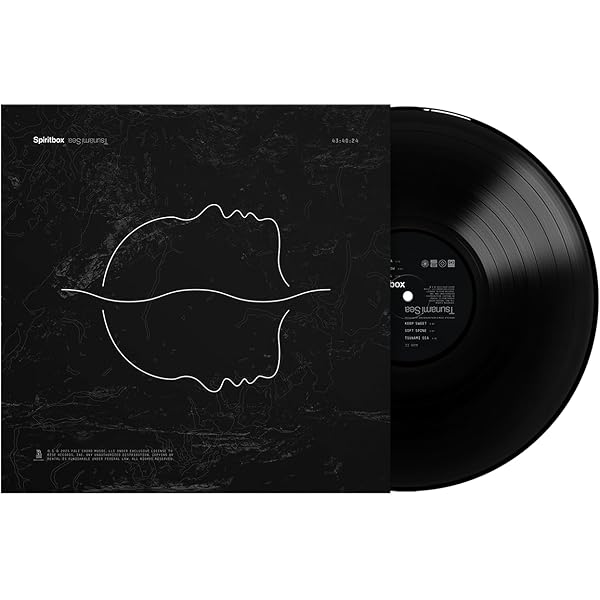 Amazon.com: Duél: CDs & Vinyl