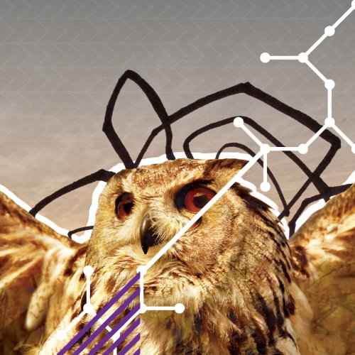 Chikita Violenta - Roni Lyrics - Zortam Music